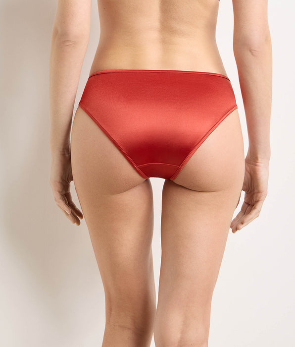 DIM Spicy cinnamon briefs Dim x Ines de la Fressange