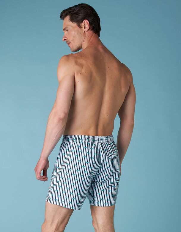 White swimming shorts with blue stripes, , DIM