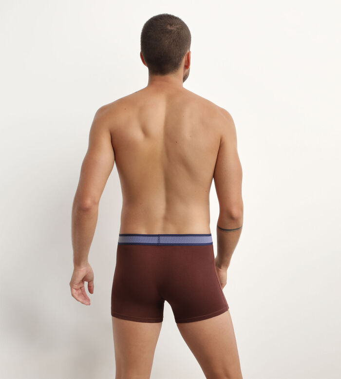Men's pique modal cotton boxers and striped waistband in Cacao Dim Smart, , DIM