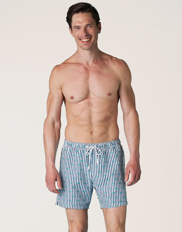 White swimming shorts with blue stripes, , DIM