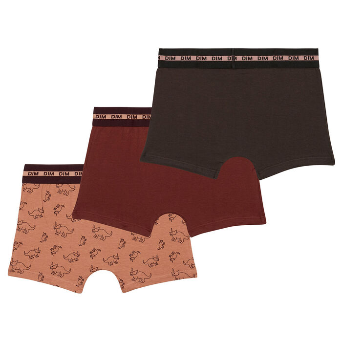 Fashion Cotton Stretch Pack of 3 Burgundy boys' boxers with dinosaur pattern, , DIM